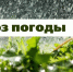 «Дожди и грозы»: прогноз погода на 4, 5 и 6 июня - Вся-Округа.РФ