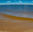 С 25 апреля на Южноуральском и Троицком водохранилищах вводят нерестовые ограничения - Вся-Округа.РФ